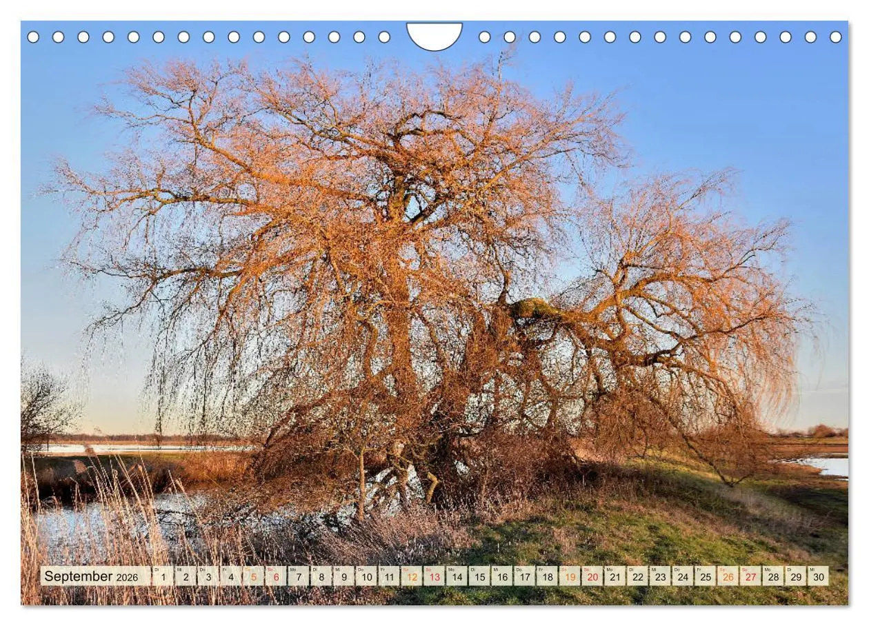 Bild: 9783457734056 | Landschaft an der Wümme (Wandkalender 2026 DIN A4 quer), CALVENDO...