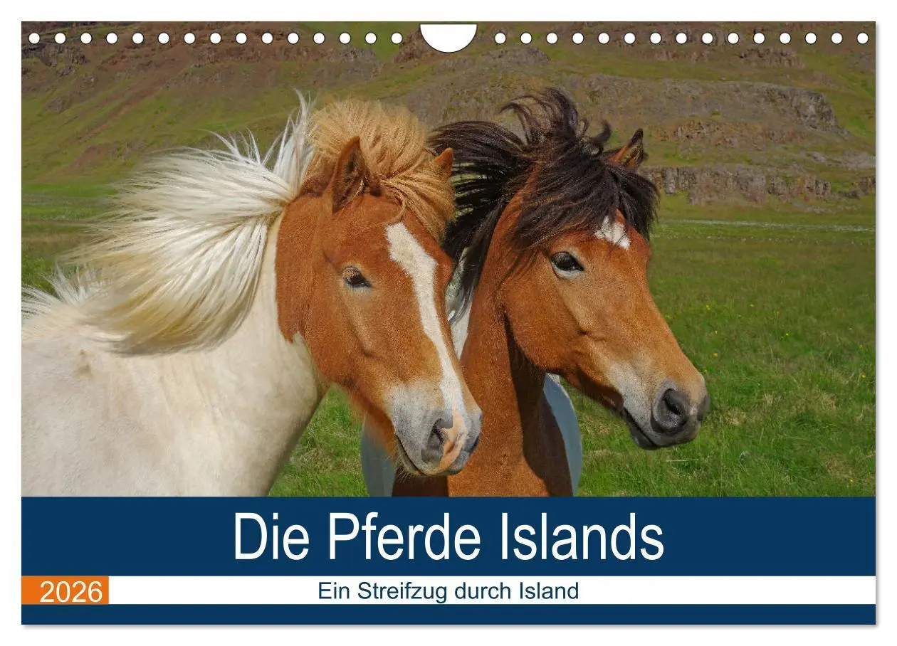 Cover: 9783516064056 | Die Pferde Islands - Ein Streifzug durch Island (Wandkalender 2026...