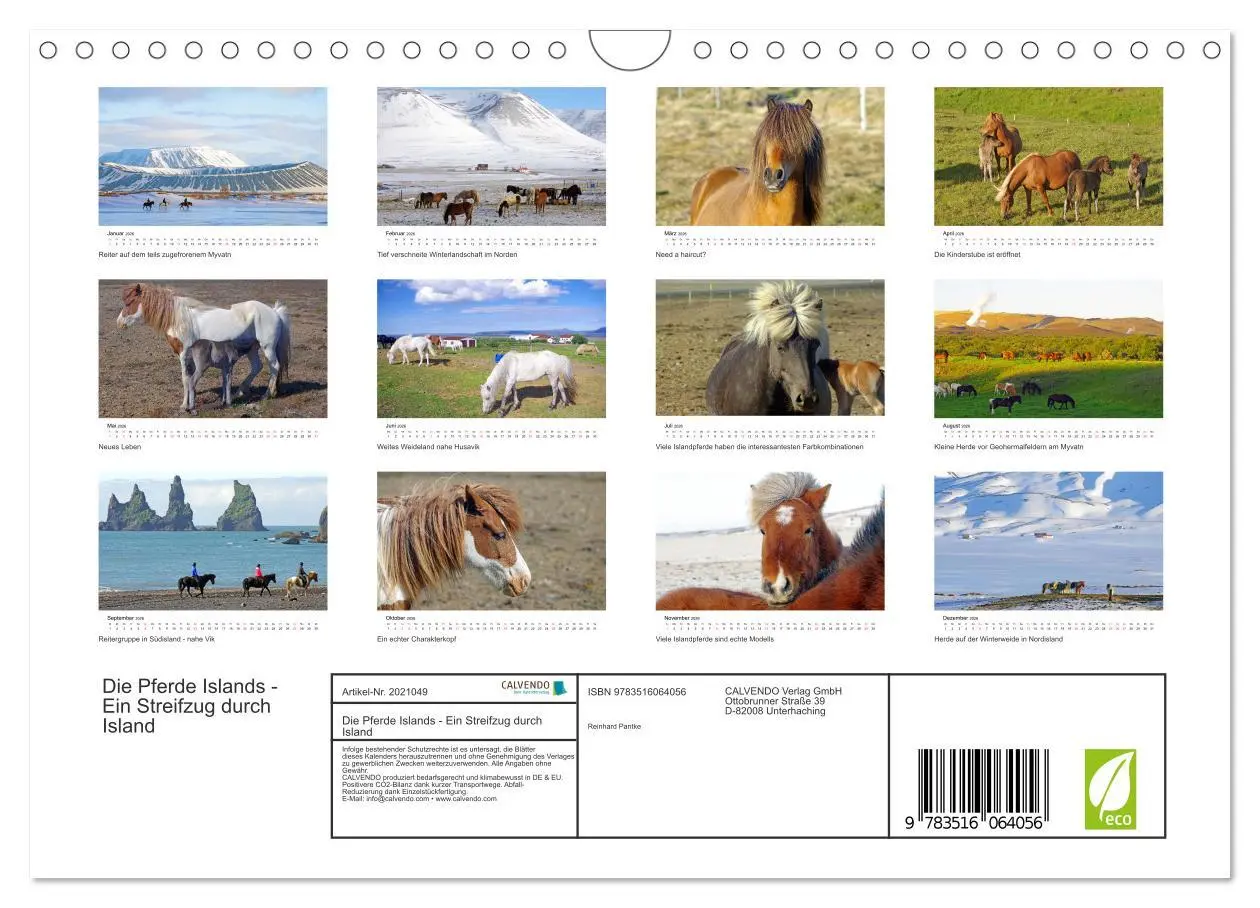 Bild: 9783516064056 | Die Pferde Islands - Ein Streifzug durch Island (Wandkalender 2026...