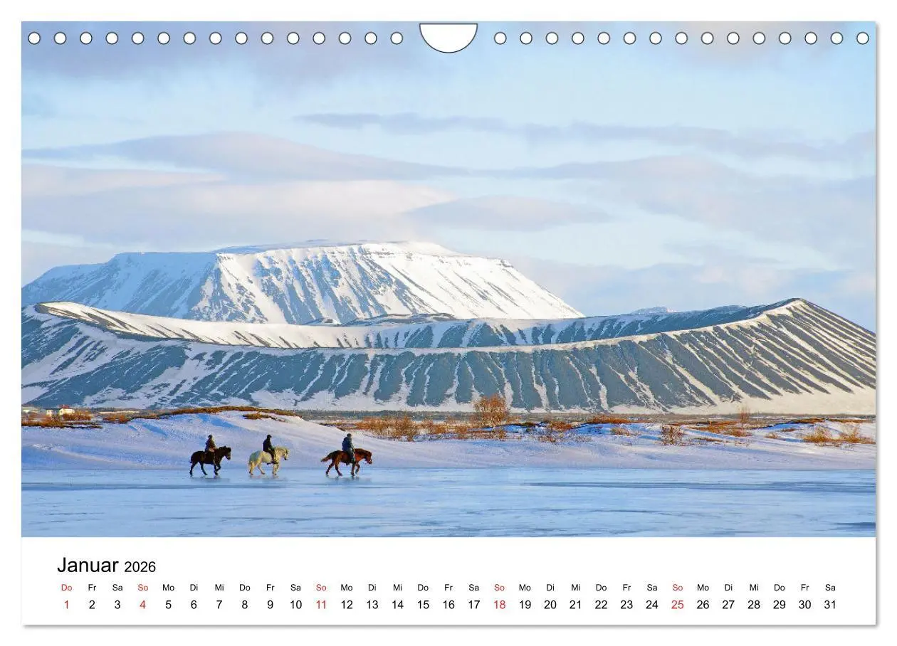 Bild: 9783516064056 | Die Pferde Islands - Ein Streifzug durch Island (Wandkalender 2026...