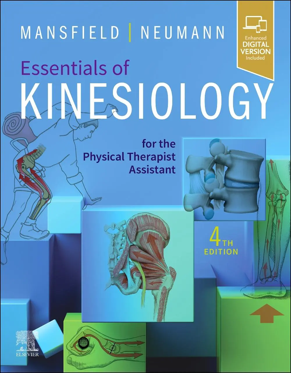 Cover: 9780323824156 | Essentials of Kinesiology for the Physical Therapist Assistant | Buch