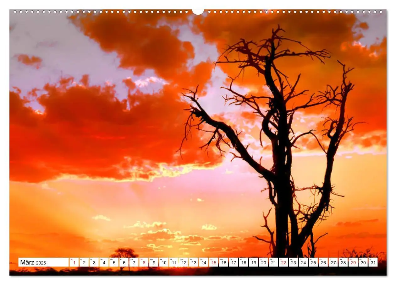Bild: 9783457724156 | Namibia &amp; Botswana (Wandkalender 2026 DIN A2 quer), CALVENDO...
