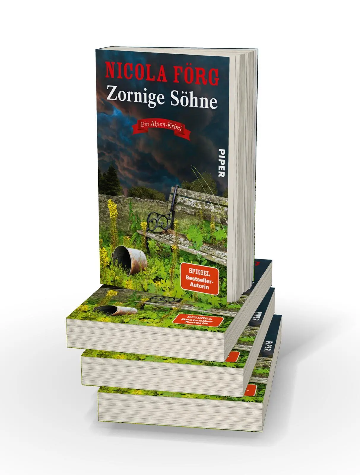 Bild: 9783492064156 | Zornige Söhne | Nicola Förg | Taschenbuch | Alpen-Krimis | 336 S.