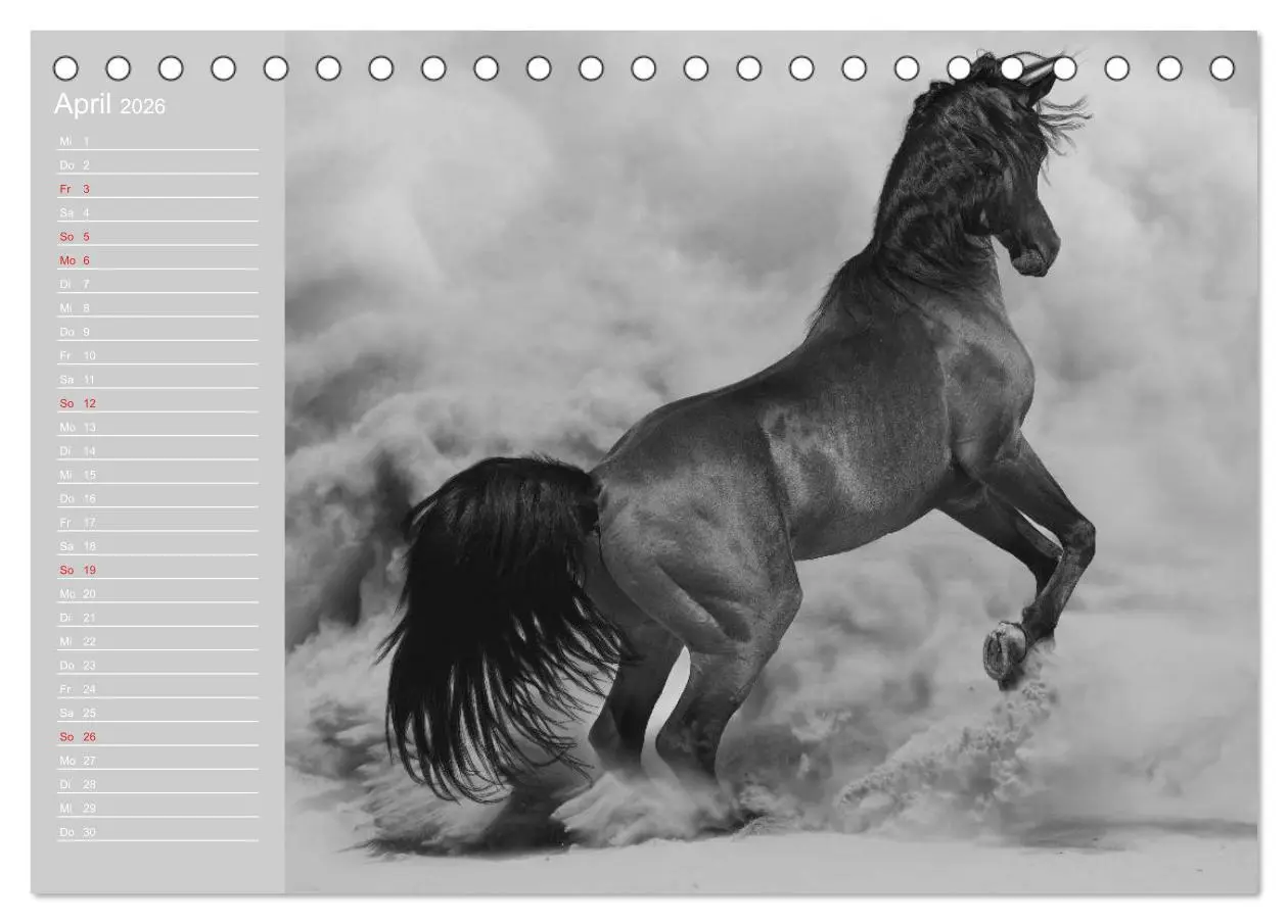 Bild: 9783516124156 | Arabische Pferde (Tischkalender 2026 DIN A5 quer), CALVENDO...