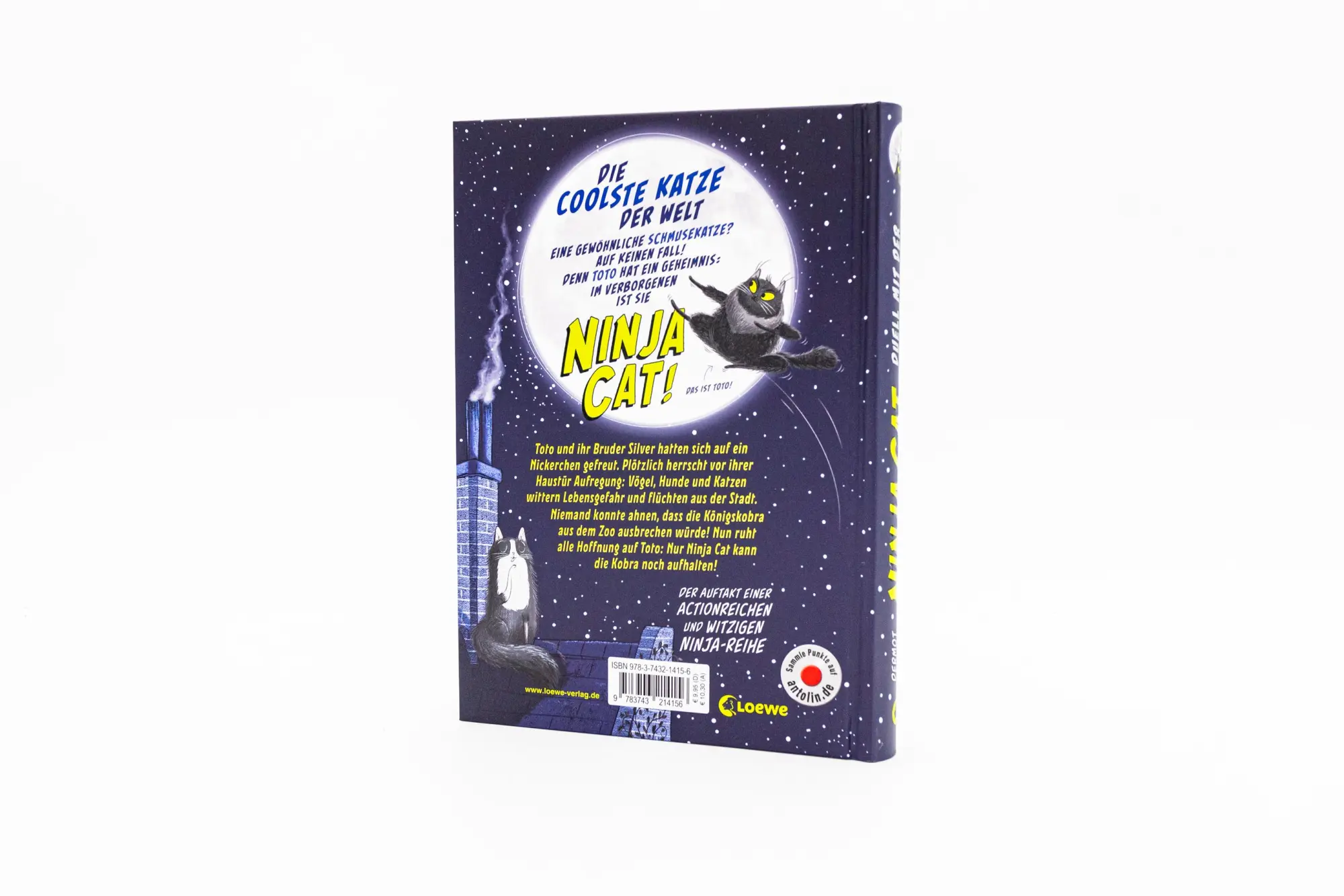Bild: 9783743214156 | Ninja Cat (Band 1) - Duell mit der Königskobra | Dermot O'Leary | Buch