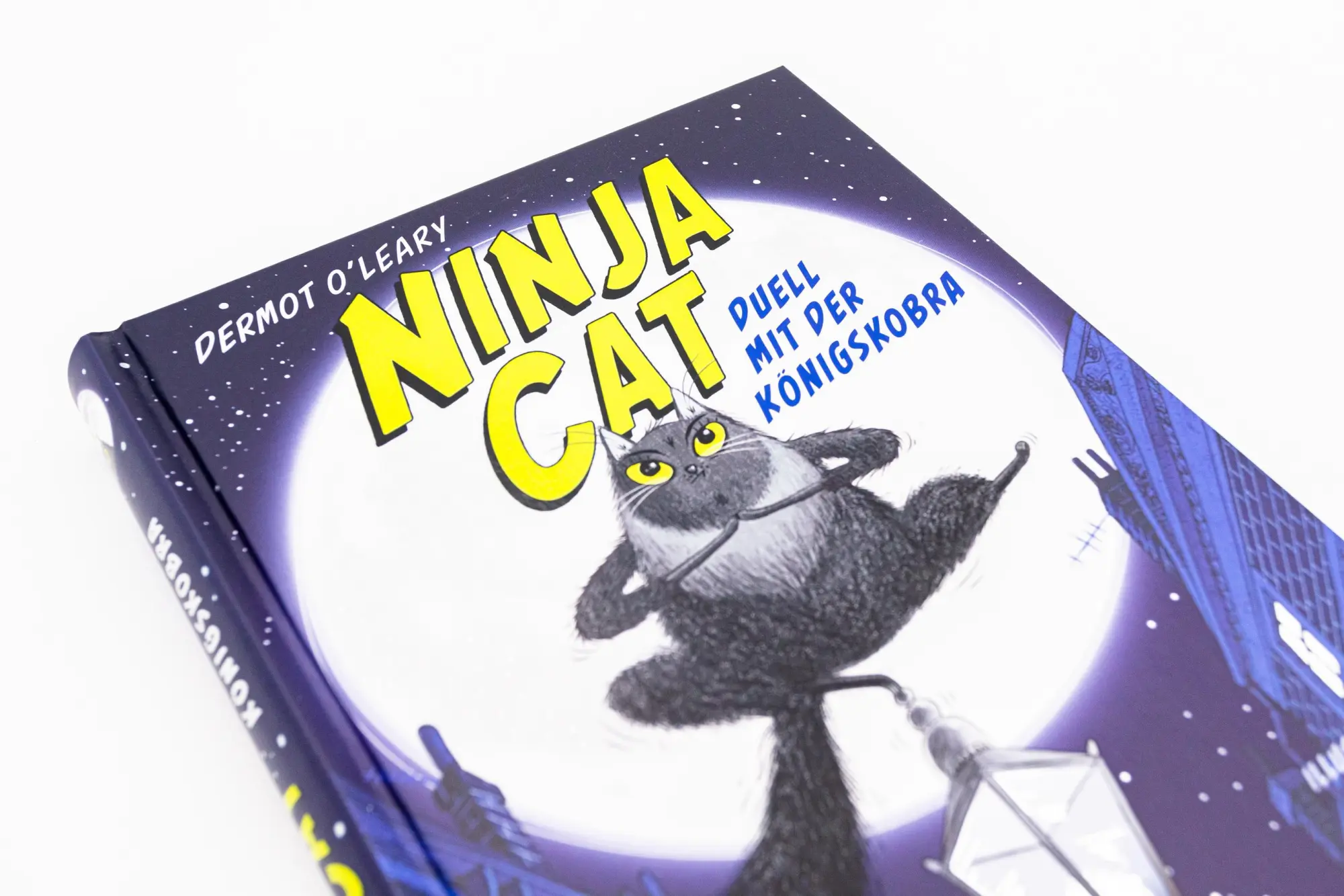 Bild: 9783743214156 | Ninja Cat (Band 1) - Duell mit der Königskobra | Dermot O'Leary | Buch