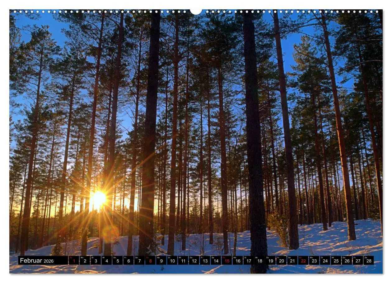Bild: 9783457714256 | Reiseland Schweden (hochwertiger Premium Wandkalender 2026 DIN A2...