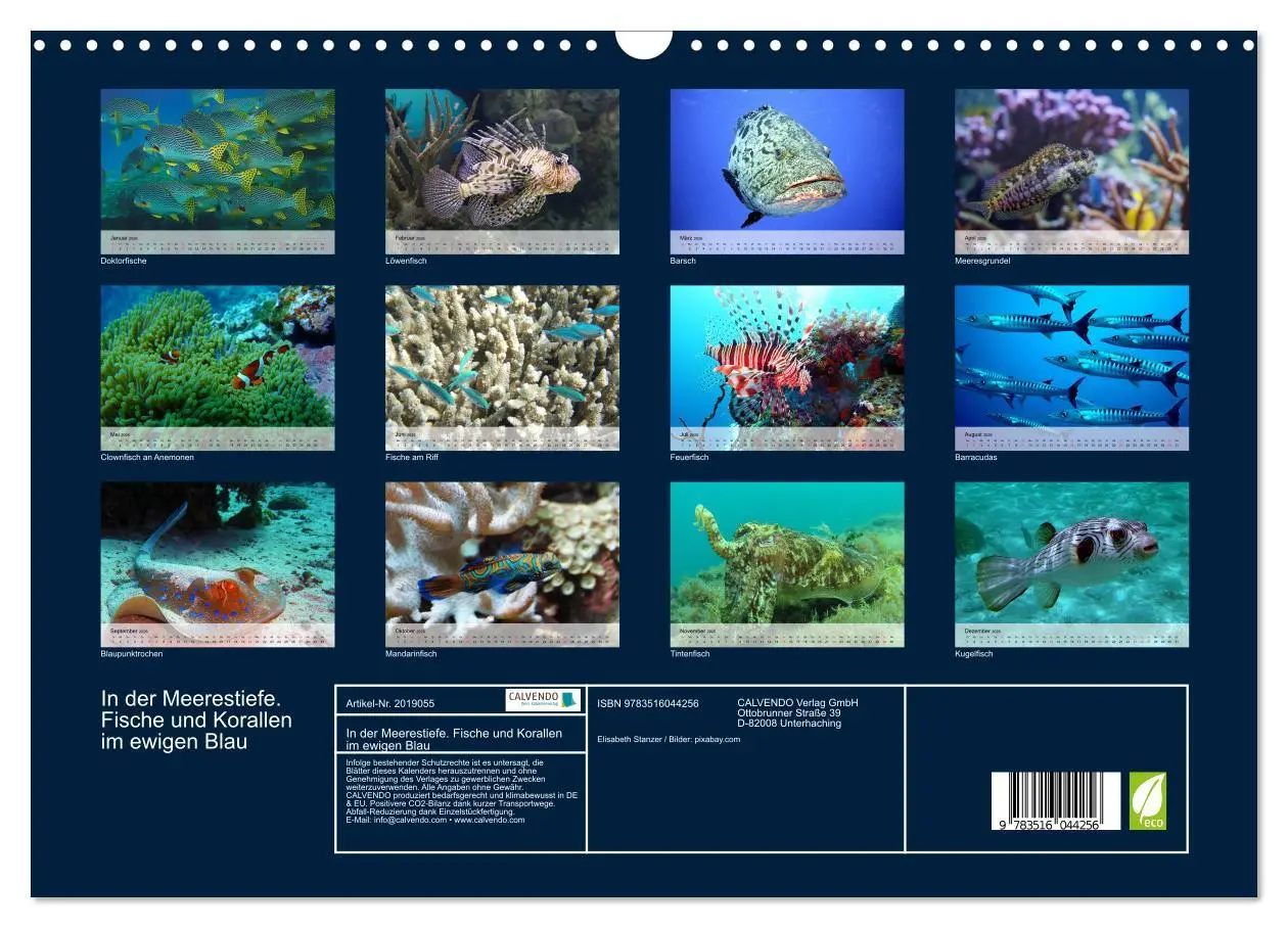Bild: 9783516044256 | In der Meerestiefe. Fische und Korallen im ewigen Blau...