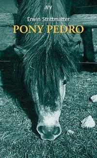 Cover: 9783746654256 | Pony Pedro | Erwin Strittmatter | Taschenbuch | 112 S. | Deutsch