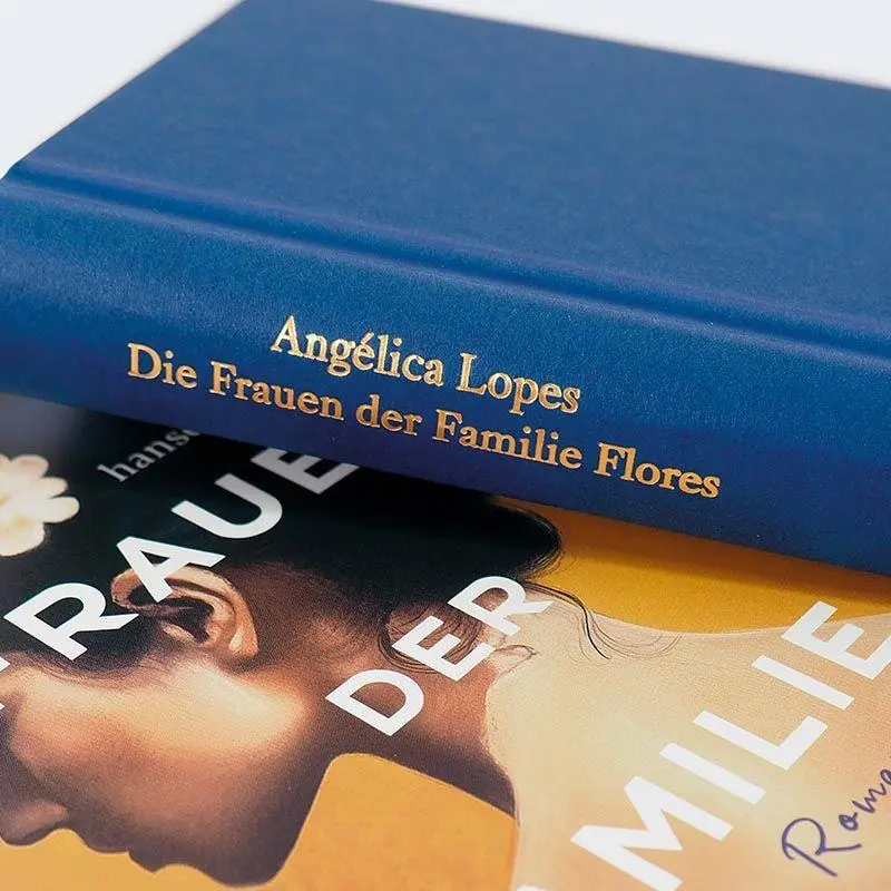 Bild: 9783446284456 | Die Frauen der Familie Flores | Roman | Angélica Lopes | Buch | 304 S.