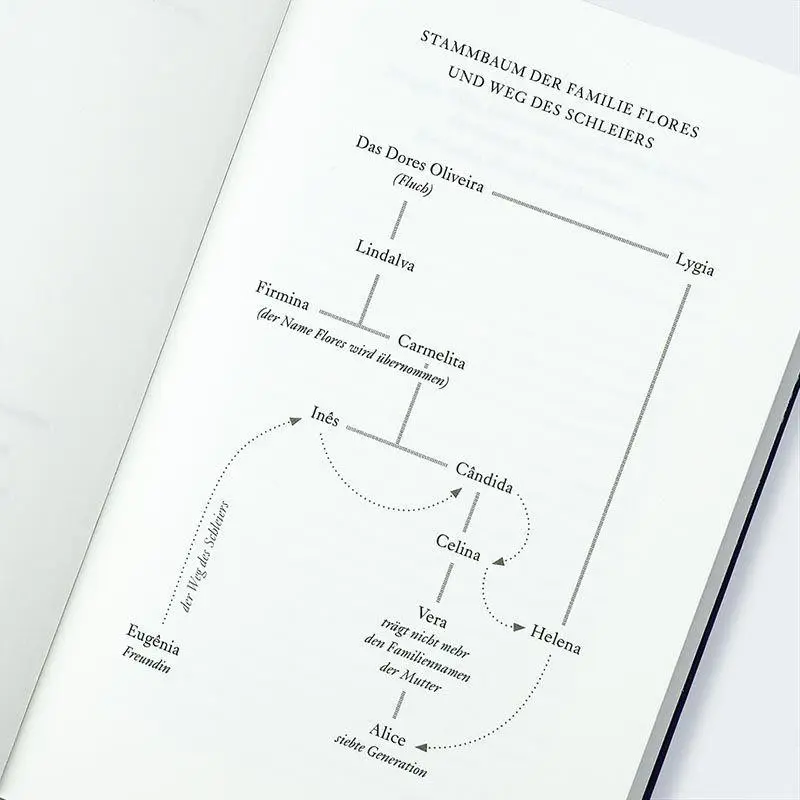 Bild: 9783446284456 | Die Frauen der Familie Flores | Roman | Angélica Lopes | Buch | 304 S.