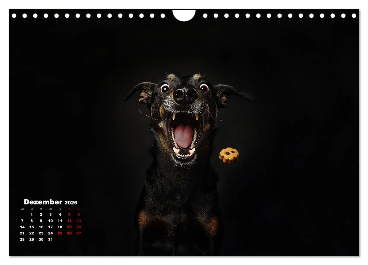 Bild: 9783457314456 | Leckerchen! (Wandkalender 2026 DIN A4 quer), CALVENDO Monatskalender