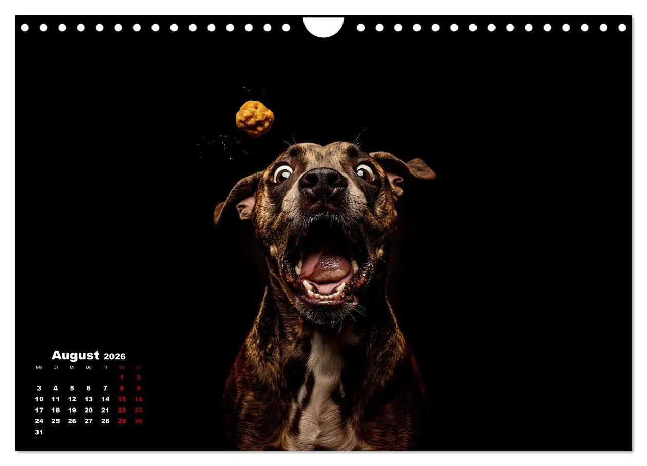 Bild: 9783457314456 | Leckerchen! (Wandkalender 2026 DIN A4 quer), CALVENDO Monatskalender