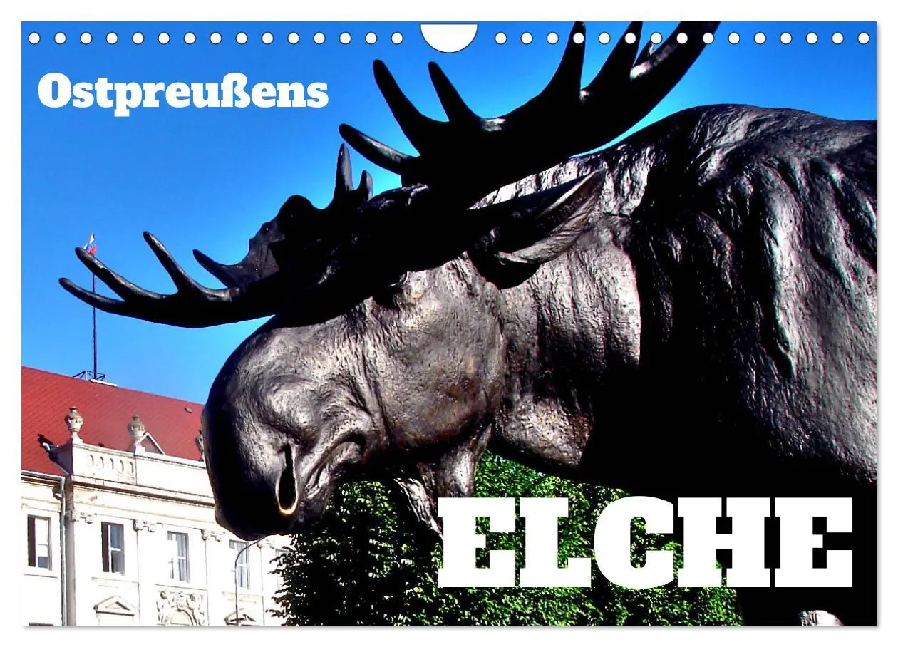 Cover: 9783457624456 | Ostpreußens Elche (Wandkalender 2026 DIN A4 quer), CALVENDO...