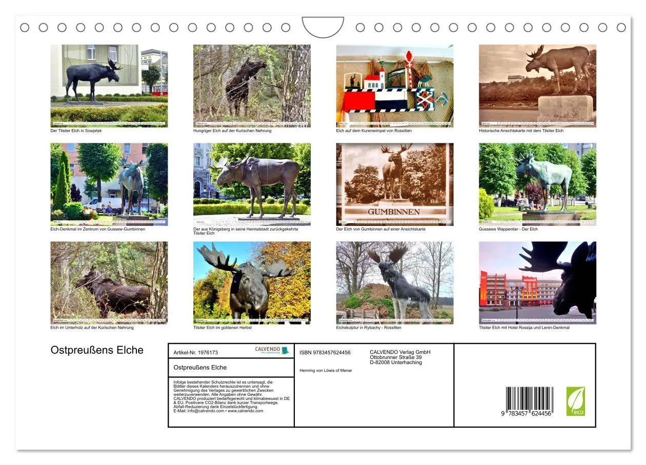 Bild: 9783457624456 | Ostpreußens Elche (Wandkalender 2026 DIN A4 quer), CALVENDO...