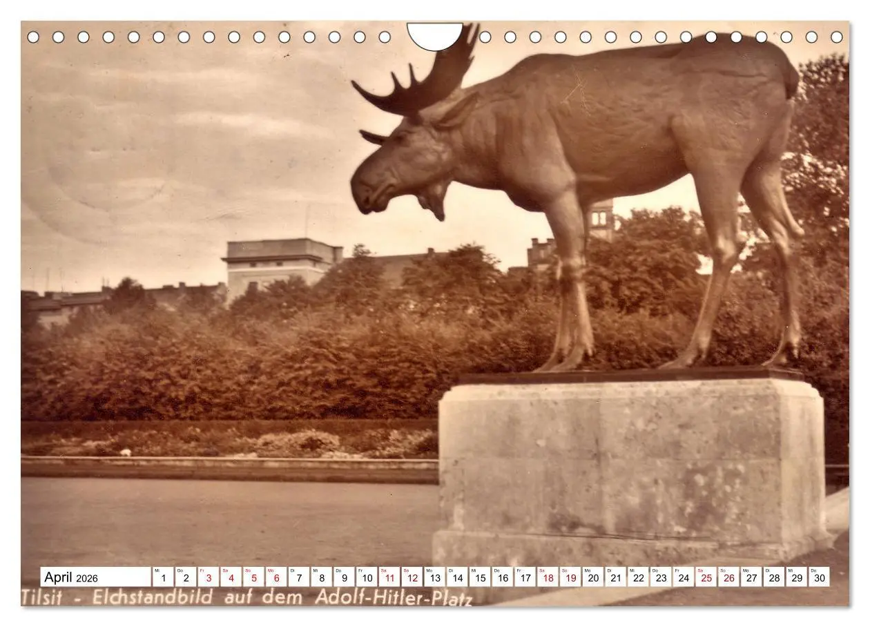 Bild: 9783457624456 | Ostpreußens Elche (Wandkalender 2026 DIN A4 quer), CALVENDO...