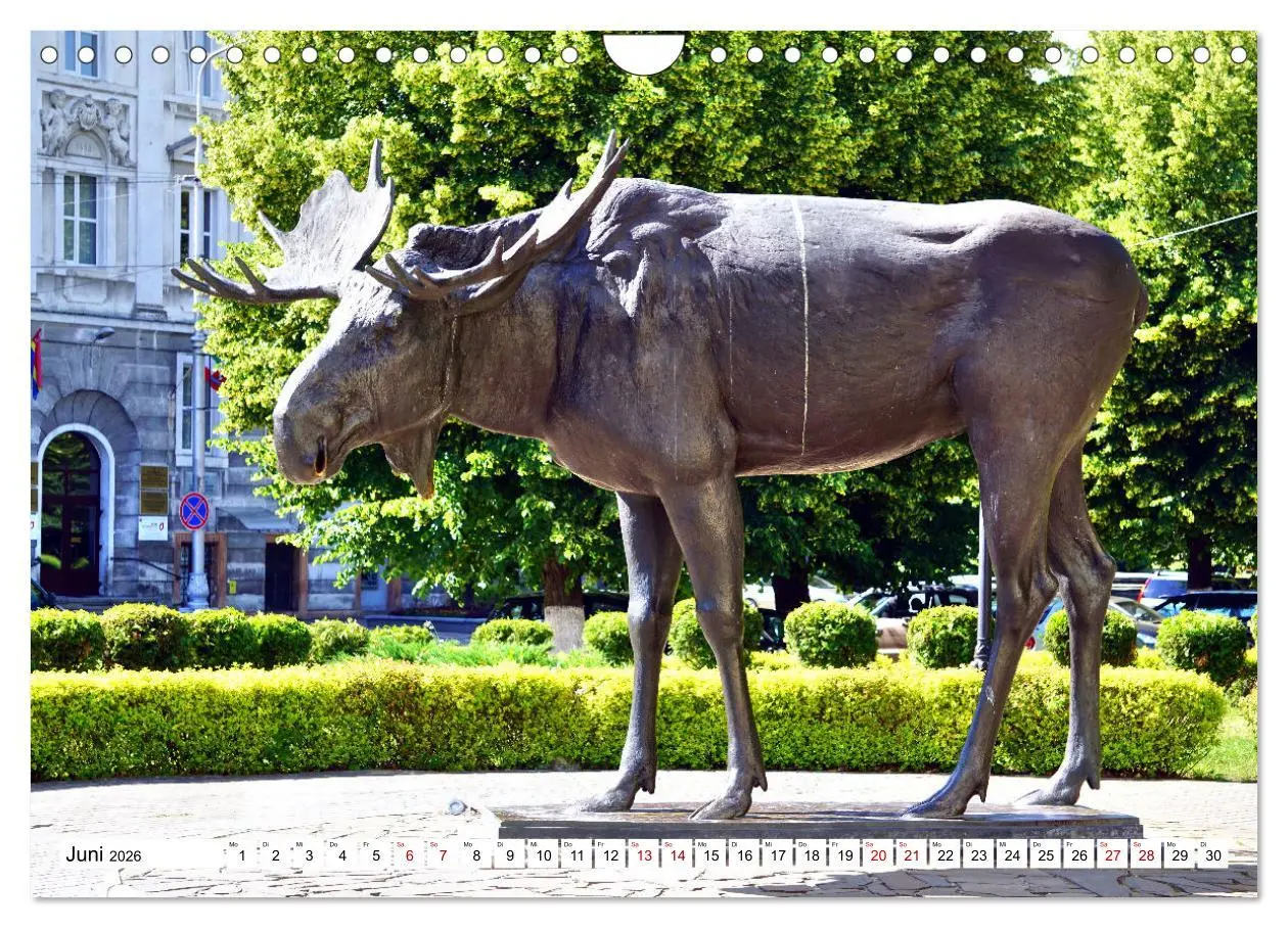 Bild: 9783457624456 | Ostpreußens Elche (Wandkalender 2026 DIN A4 quer), CALVENDO...