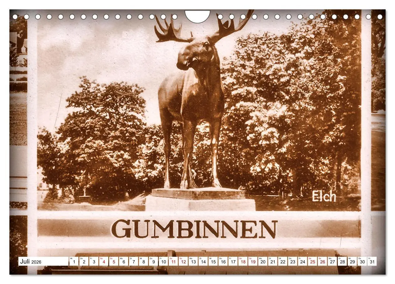Bild: 9783457624456 | Ostpreußens Elche (Wandkalender 2026 DIN A4 quer), CALVENDO...