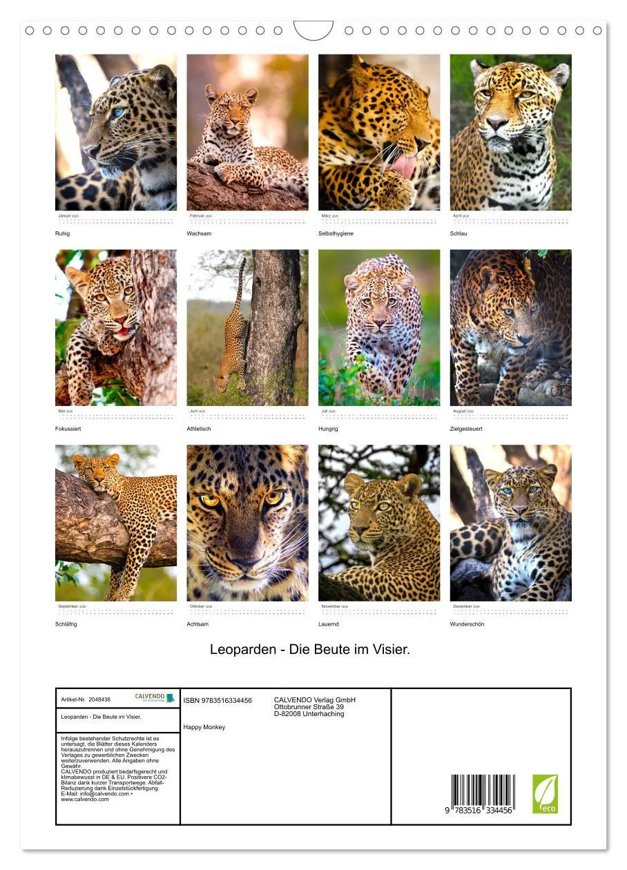 Bild: 9783516334456 | Leoparden - Die Beute im Visier. (Wandkalender 2026 DIN A3 hoch),...