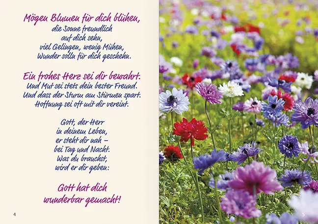Bild: 9783863384456 | Ein Lächeln begleite Deinen Tag | Susanne Schutkowski | Broschüre