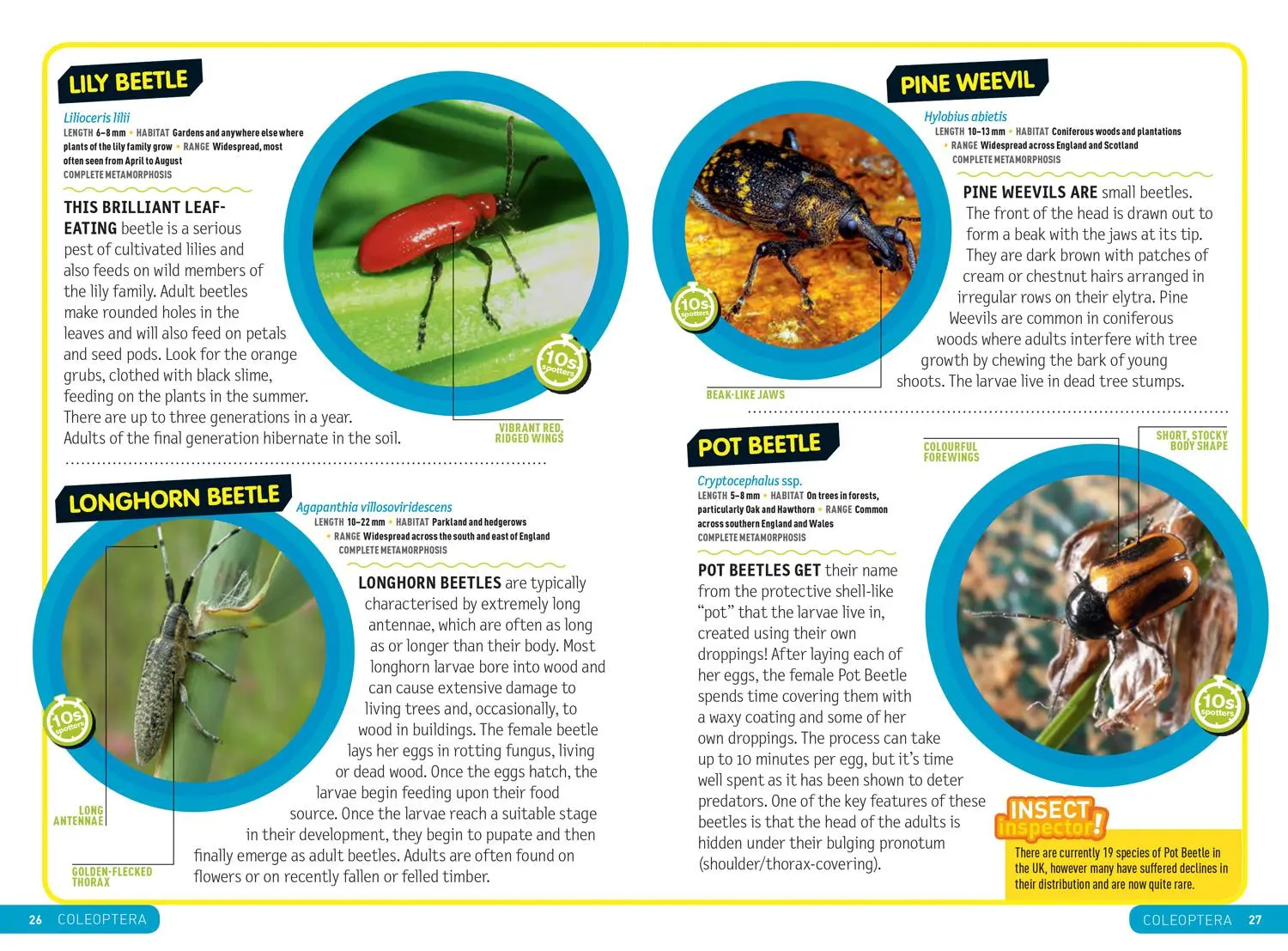 Bild: 9780008374556 | Ultimate Explorer Field Guides British Insects | Kids | Taschenbuch