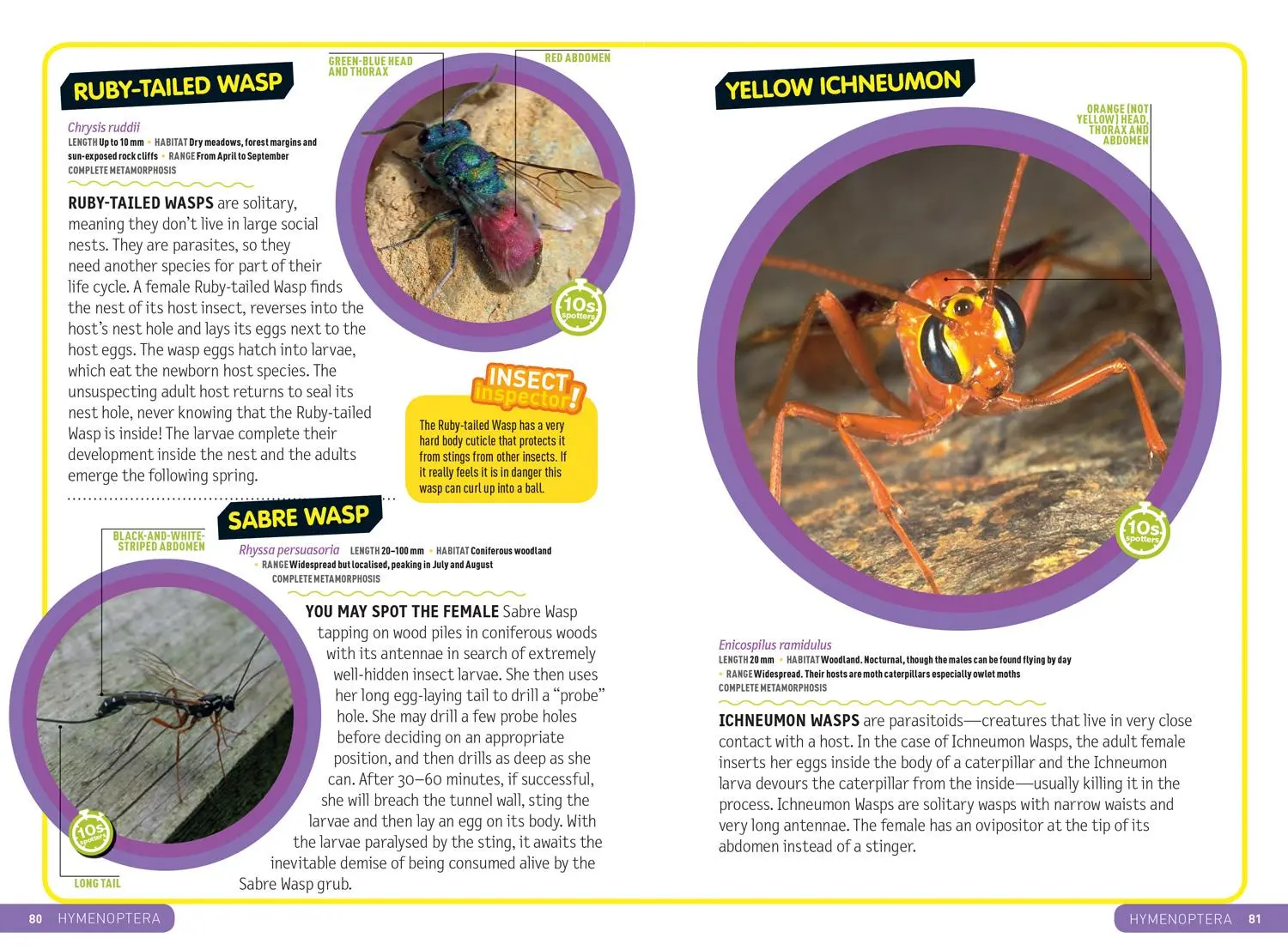 Bild: 9780008374556 | Ultimate Explorer Field Guides British Insects | Kids | Taschenbuch