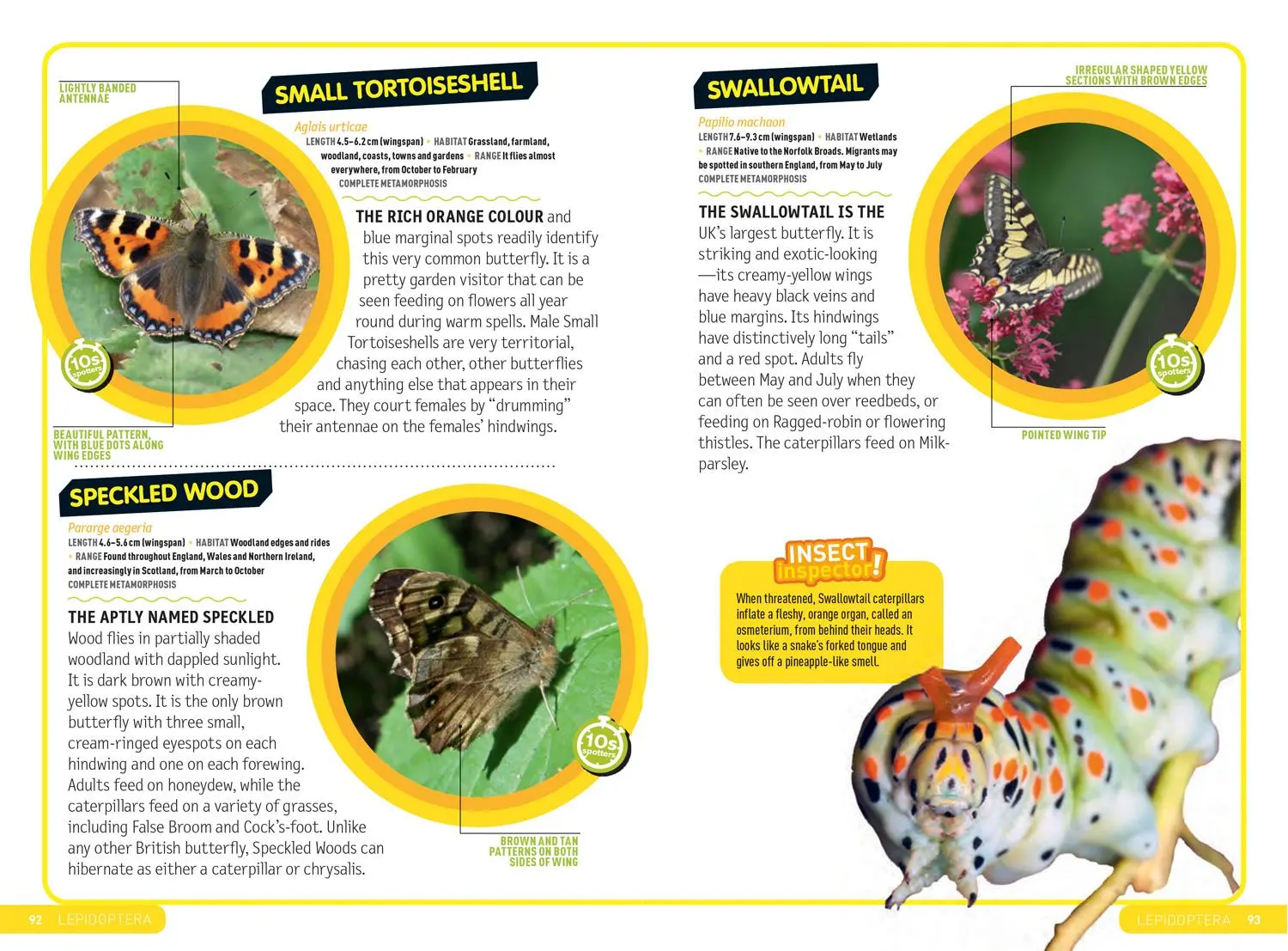 Bild: 9780008374556 | Ultimate Explorer Field Guides British Insects | Kids | Taschenbuch