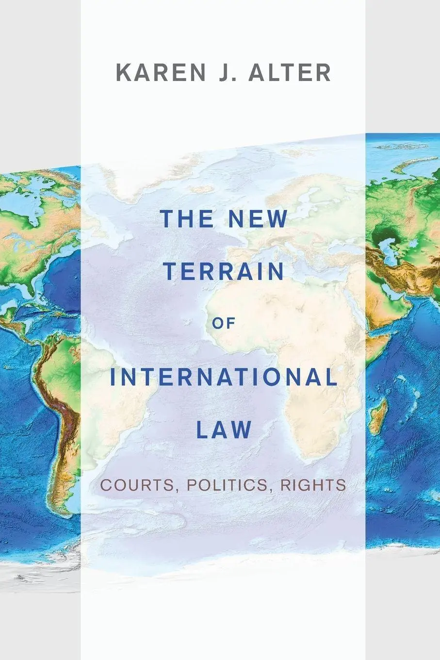 Cover: 9780691154756 | The New Terrain of International Law | Courts, Politics, Rights | Buch