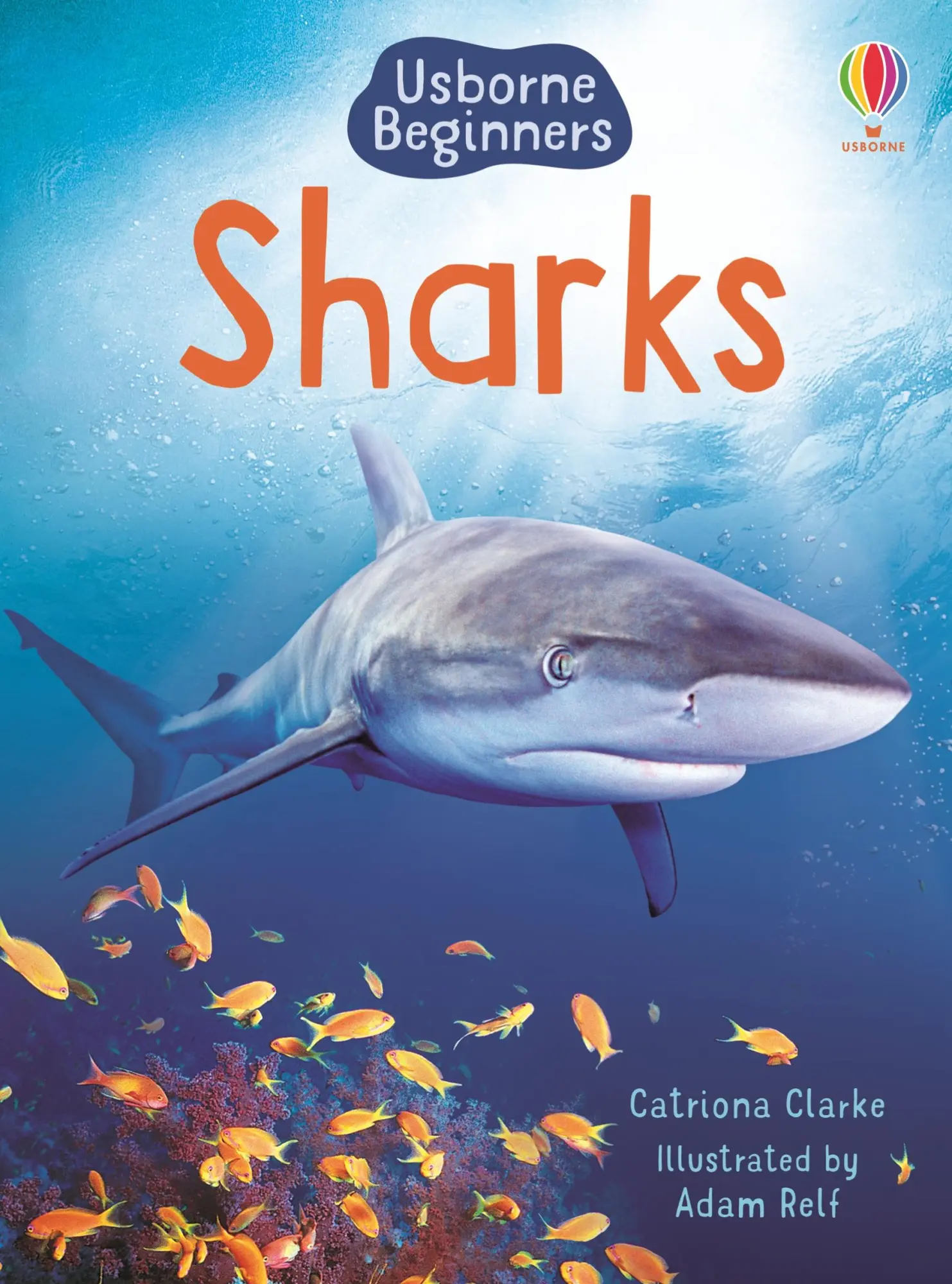 Cover: 9780746074756 | Sharks | Catriona Clarke | Buch | Gebunden | Englisch | 2007