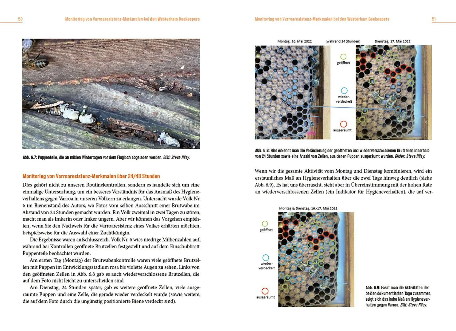Bild: 9783258084756 | Die Lösung der Honigbiene für das Varroa-Problem | Steve Riley | Buch