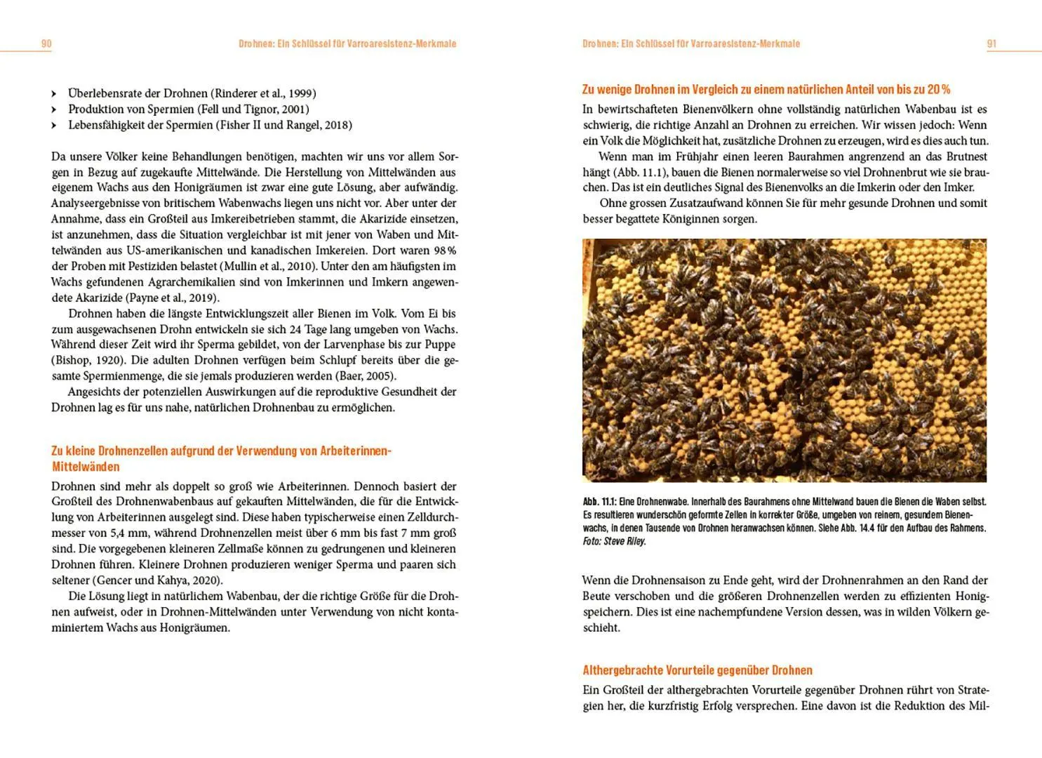 Bild: 9783258084756 | Die Lösung der Honigbiene für das Varroa-Problem | Steve Riley | Buch