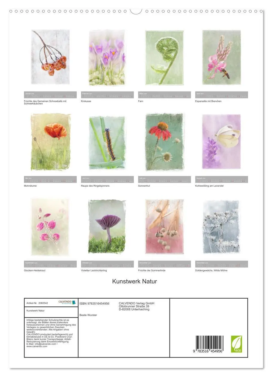 Bild: 9783516454956 | Kunstwerk Natur (hochwertiger Premium Wandkalender 2026 DIN A2...