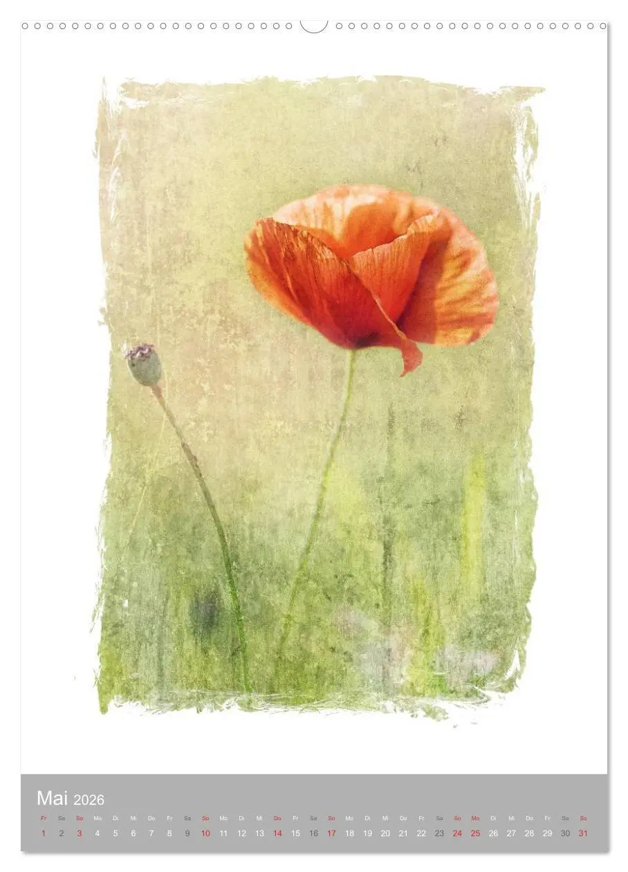 Bild: 9783516454956 | Kunstwerk Natur (hochwertiger Premium Wandkalender 2026 DIN A2...