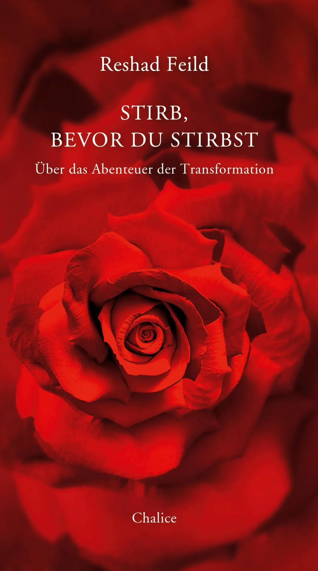 Cover: 9783942914956 | Stirb, bevor du stirbst | Über das Abenteuer der Transformation | Buch