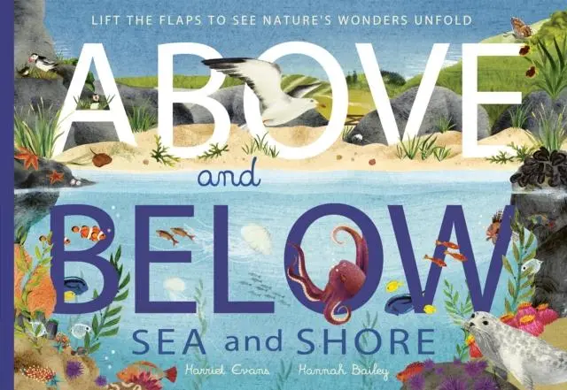 Cover: 9781838915056 | Above and Below: Sea and Shore | Hannah Bailey (u. a.) | Taschenbuch