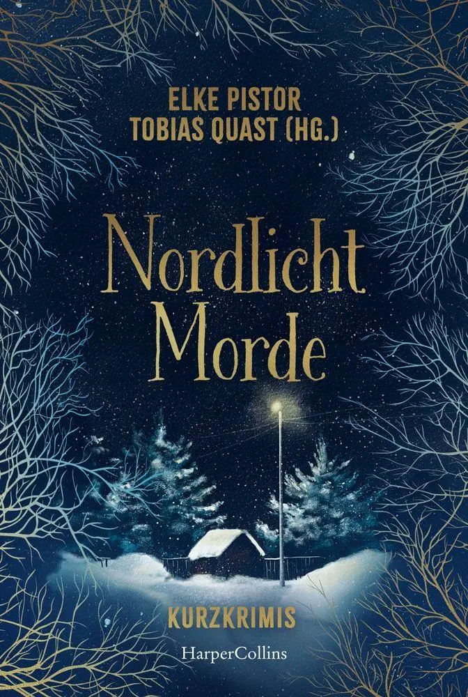 Cover: 9783365015056 | Nordlichtmorde. 20 Kurzkrimis | Elke Pistor (u. a.) | Taschenbuch