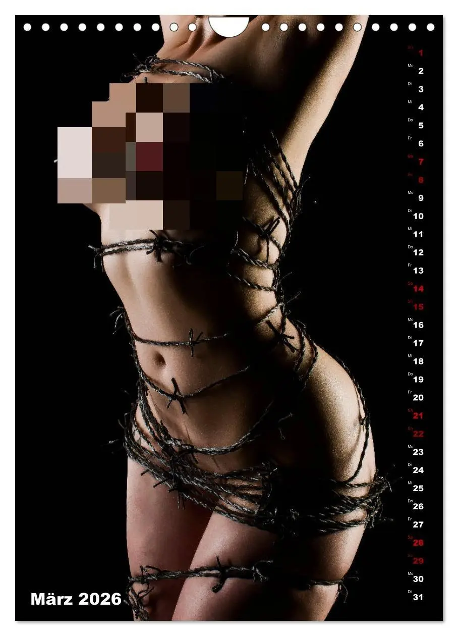 Bild: 9783516415056 | Fesselnde Schönheit (Wandkalender 2026 DIN A4 hoch), CALVENDO...