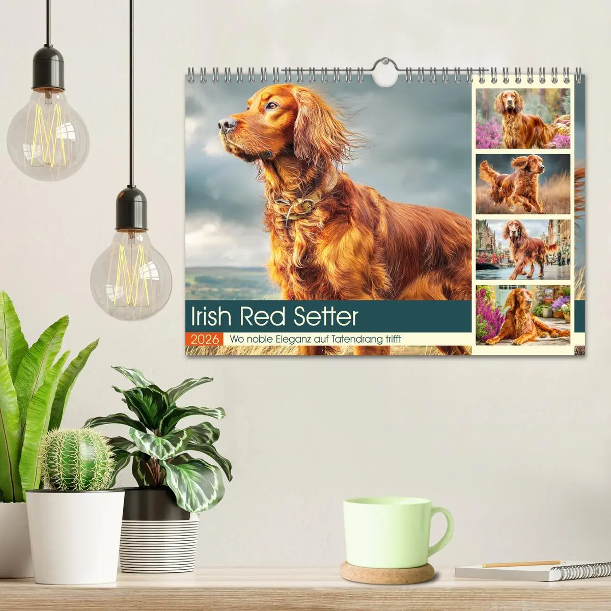 Bild: 9783457625156 | Irish Red Setter. Wo noble Eleganz auf Tatendrang trifft...