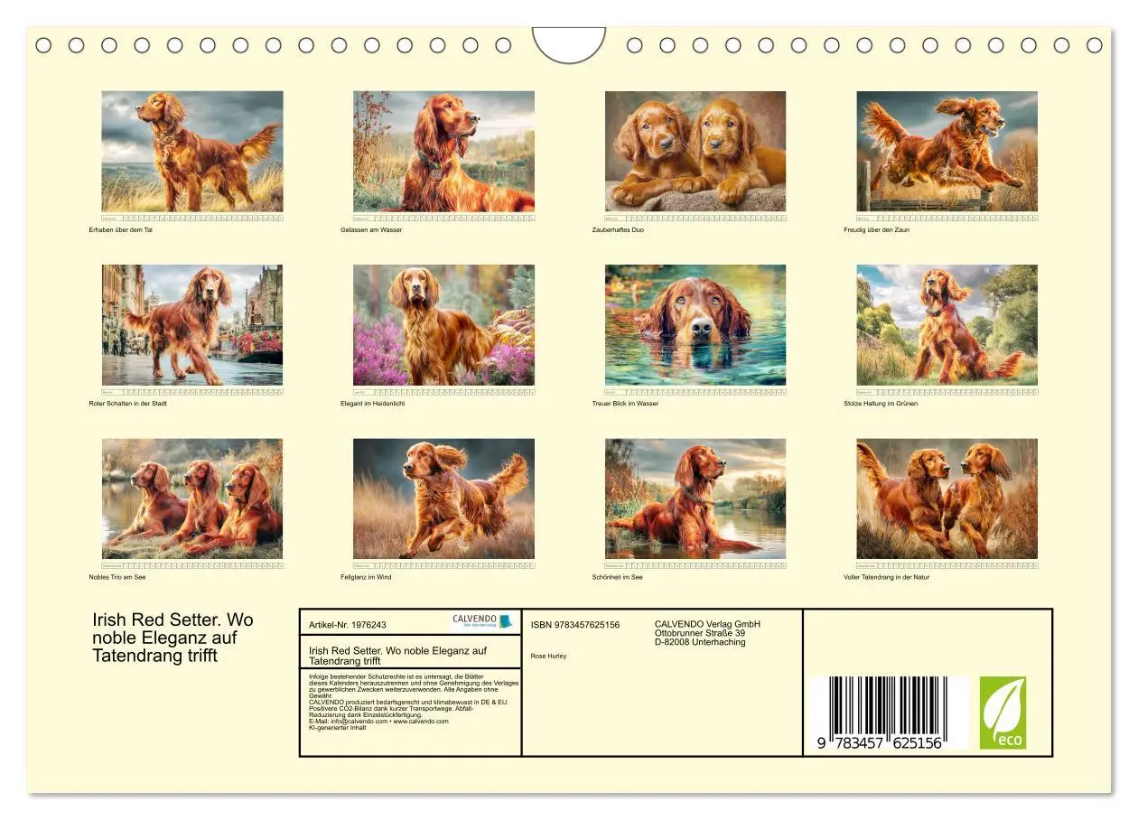 Bild: 9783457625156 | Irish Red Setter. Wo noble Eleganz auf Tatendrang trifft...