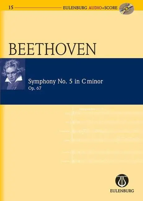 Cover: 9783795765156 | Sinfonie Nr.5 c-Moll | Ludwig van Beethoven | Buch | 148 S. | Deutsch