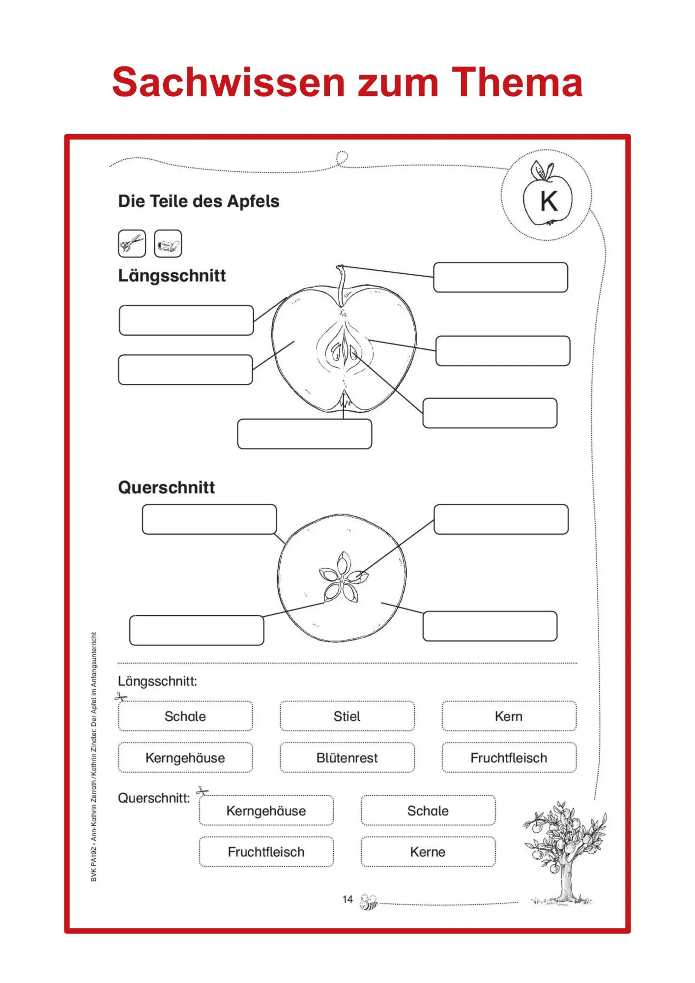 Bild: 9783867405256 | Der Apfel im Anfangsunterricht | Ann-Kathrin Zerrath (u. a.) | 72 S.