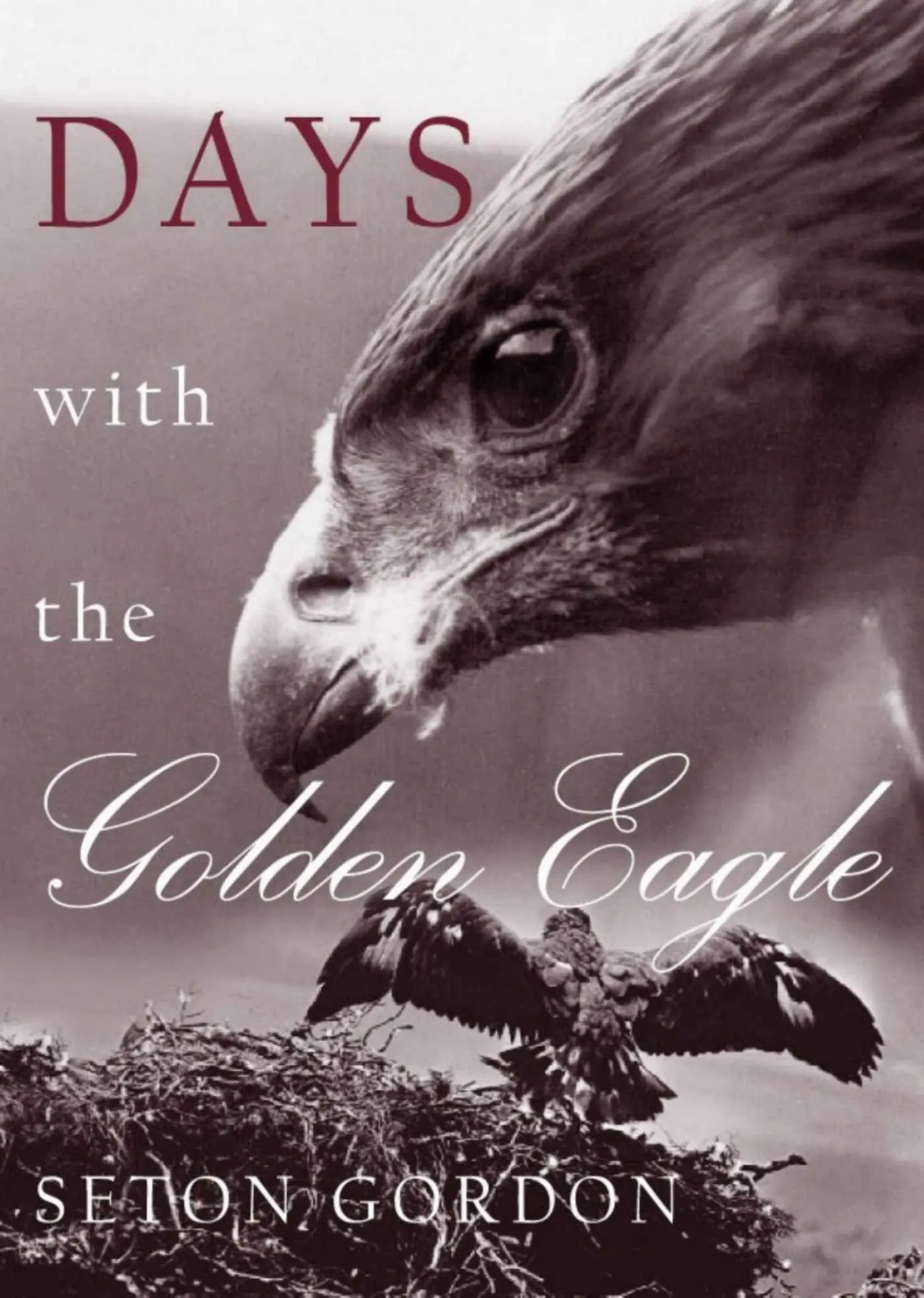 Cover: 9781870325356 | Days with the Golden Eagle | Seton Gordon | Taschenbuch | Englisch