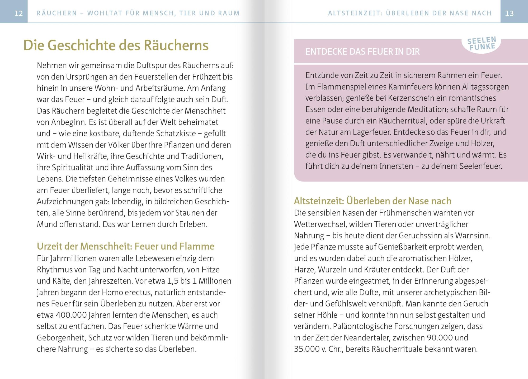 Bild: 9783863745356 | Räuchern für die Seele. Kompakt-Ratgeber | Annemarie Zobernig | Buch