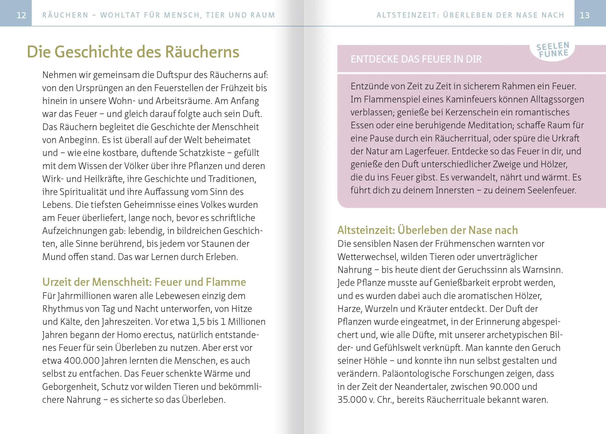 Bild: 9783863745356 | Räuchern für die Seele. Kompakt-Ratgeber | Annemarie Zobernig | Buch