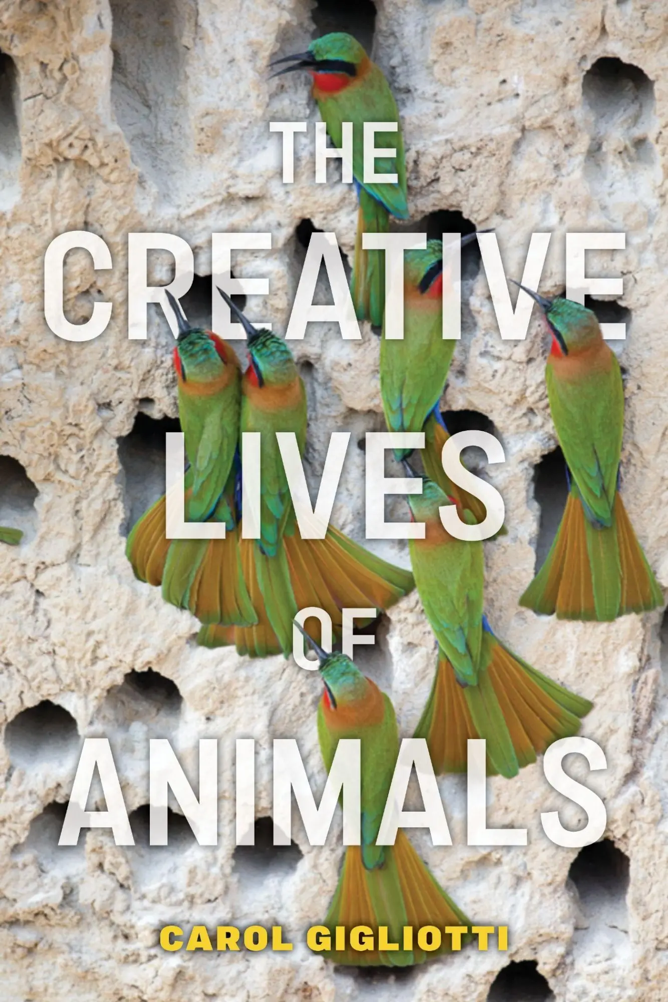 Cover: 9781479815456 | The Creative Lives of Animals | Carol Gigliotti | Taschenbuch | 2025