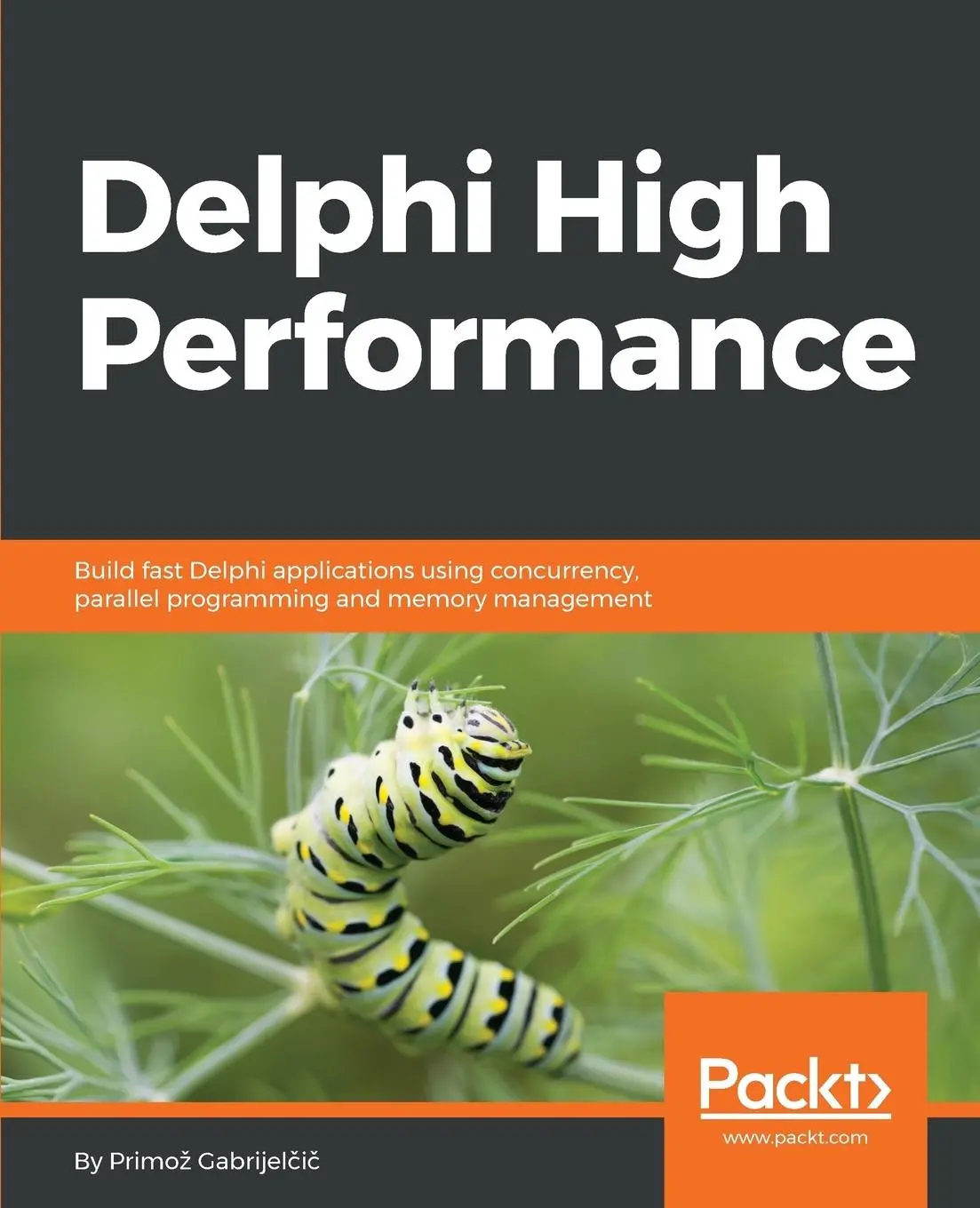 Cover: 9781788625456 | Delphi High Performance | Primo¿ Gabrijel¿i¿ | Taschenbuch | Englisch