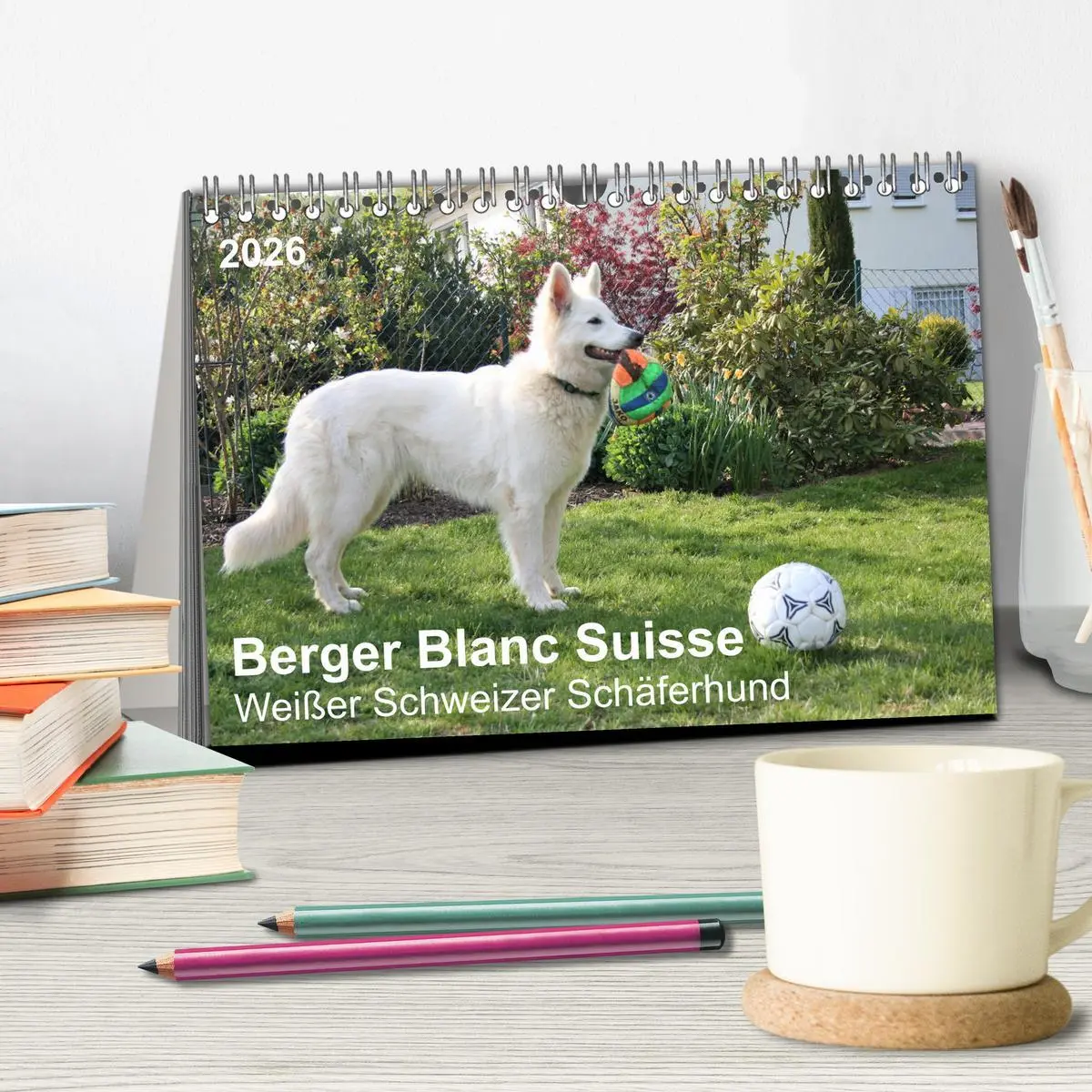 Bild: 9783457695456 | Berger Blanc Suisse - Weißer Schweizer Schäferhund (Tischkalender...