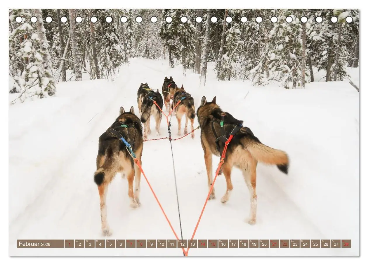 Bild: 9783516235456 | Finnisch Lappland (Tischkalender 2026 DIN A5 quer), CALVENDO...