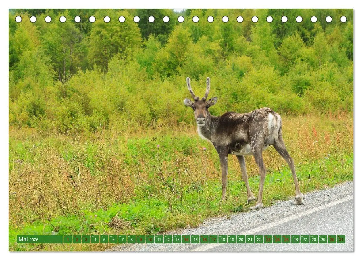 Bild: 9783516235456 | Finnisch Lappland (Tischkalender 2026 DIN A5 quer), CALVENDO...