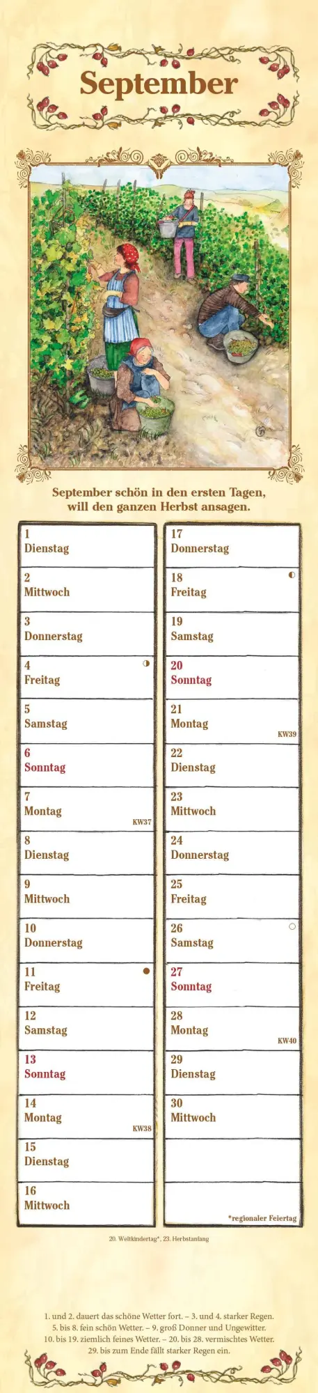 Bild: 4069095005556 | Streifenplaner Bauernkalender 2026 - Streifen-Kalender 11,3x49x5 cm...